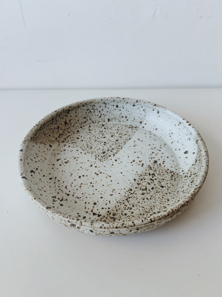 Colleen Hennessey - Shallow Dinner Bowl, Heavy Speckle, F