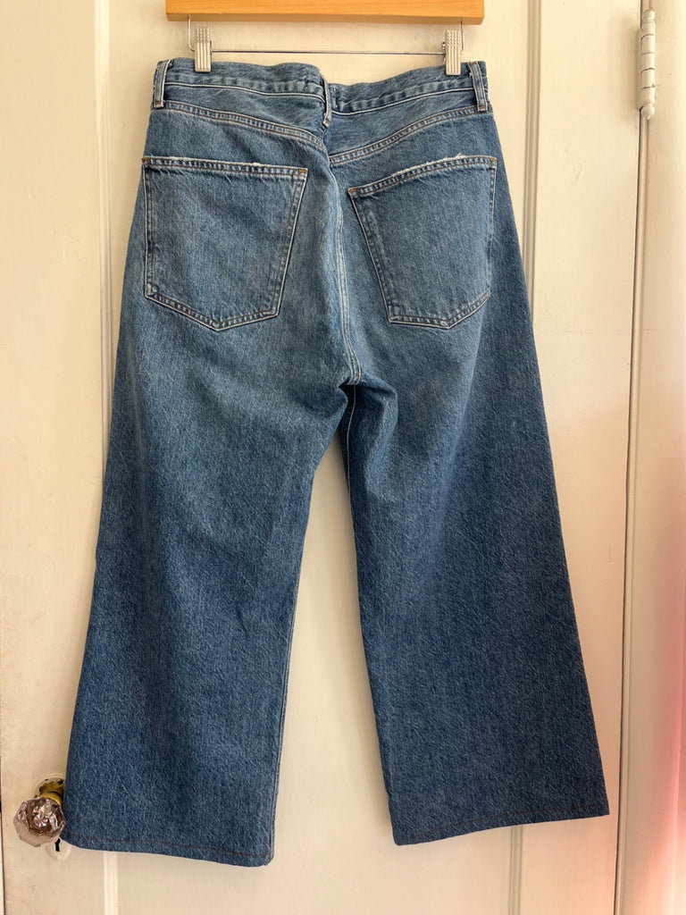 LOOP - AGOLDE Wide-Leg Jeans, Sz 29 (#54)