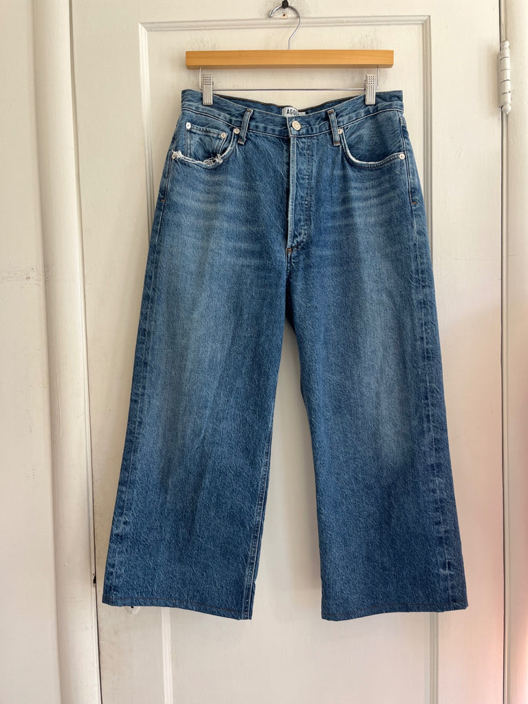 LOOP - AGOLDE Wide-Leg Jeans, Sz 29 (#54)