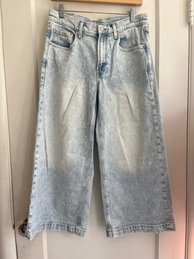 LOOP - GAP High Rise Stride Ankle Jeans, Sz 28 (#54)