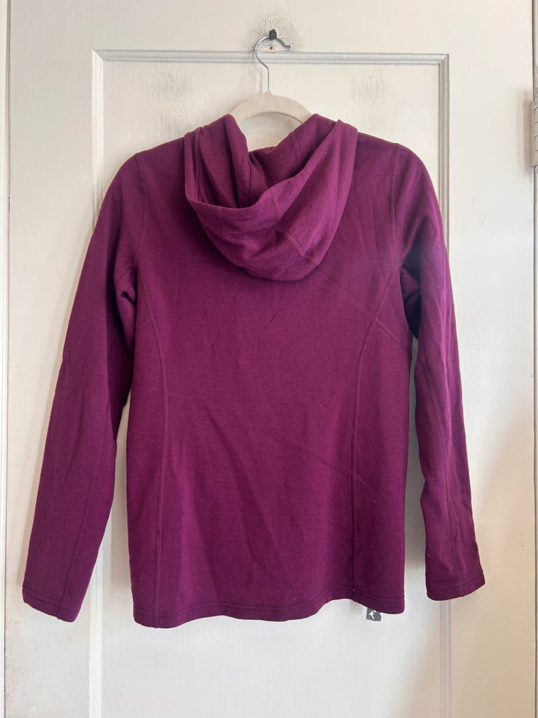 LOOP - Icebreaker Merino Hooded Sweatshirt, Sz S (#130)