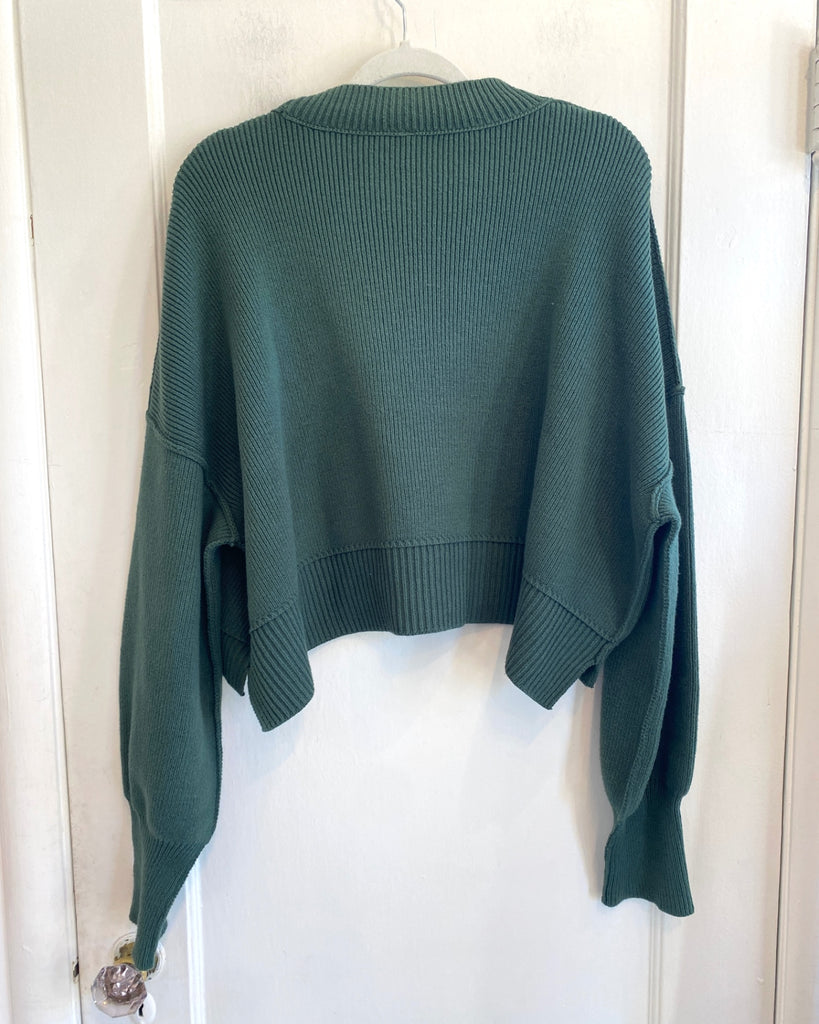 LOOP - Free People Cotton Blend Sweater, Sz L (#220)