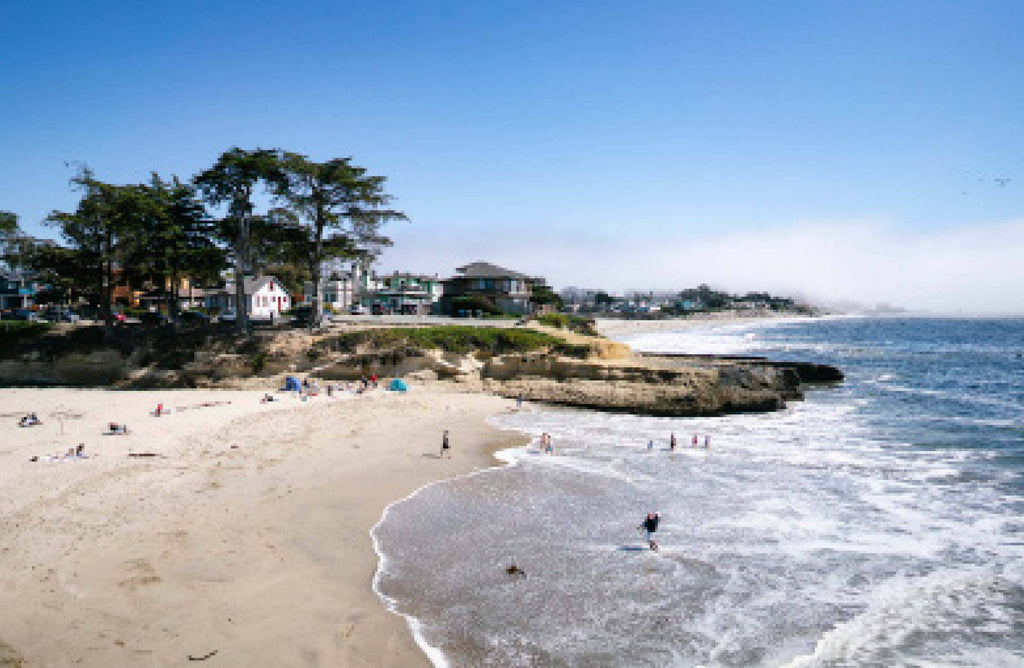Chronicle Books - Places We Swim California