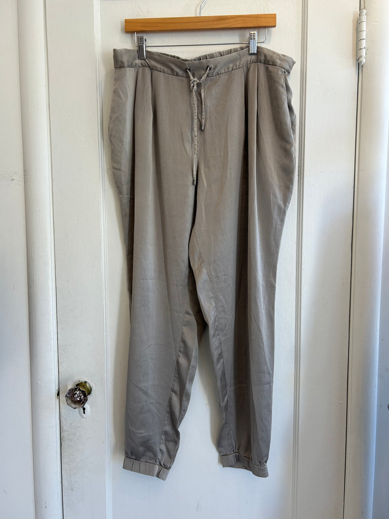 LOOP  -  Eileen Fisher Silk Pants (#18)