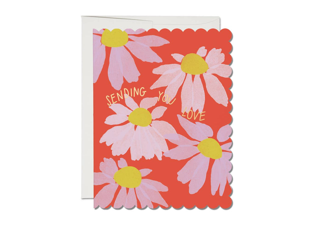 Red Cap Cards - Scalloped Coneflower sympathy greeting card