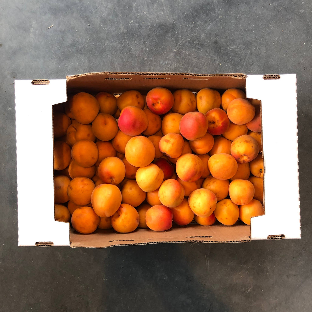 Girl Meets Dirt - Orchard Apricot Spoon Preserves 7.75oz