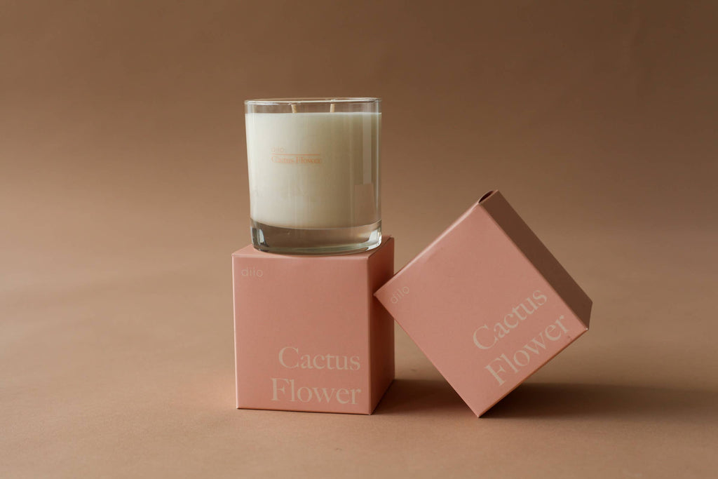 dilo - CACTUS FLOWER CANDLE